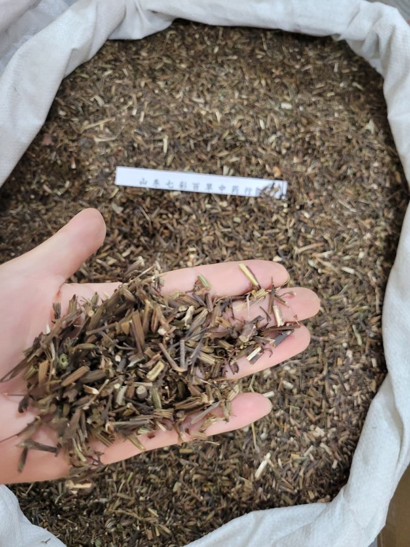 刘寄奴产地货源大量供应多种规格中药材批发零售