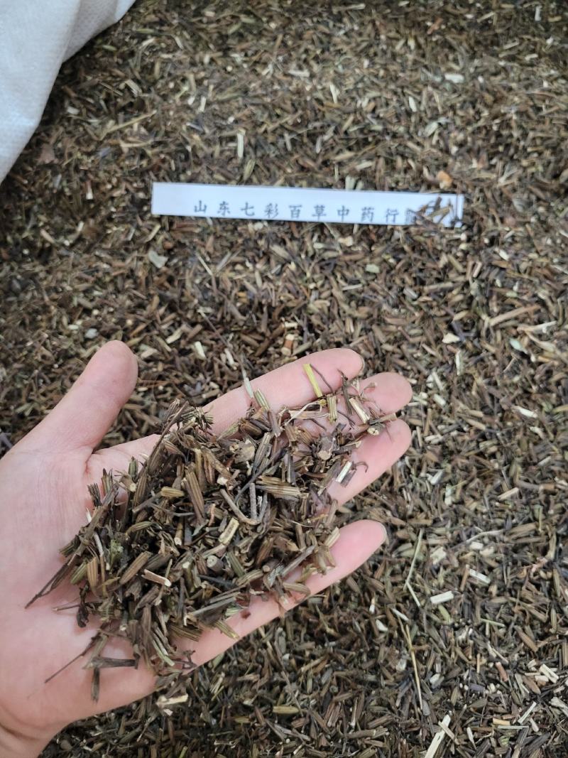 刘寄奴产地货源大量供应多种规格中药材批发零售