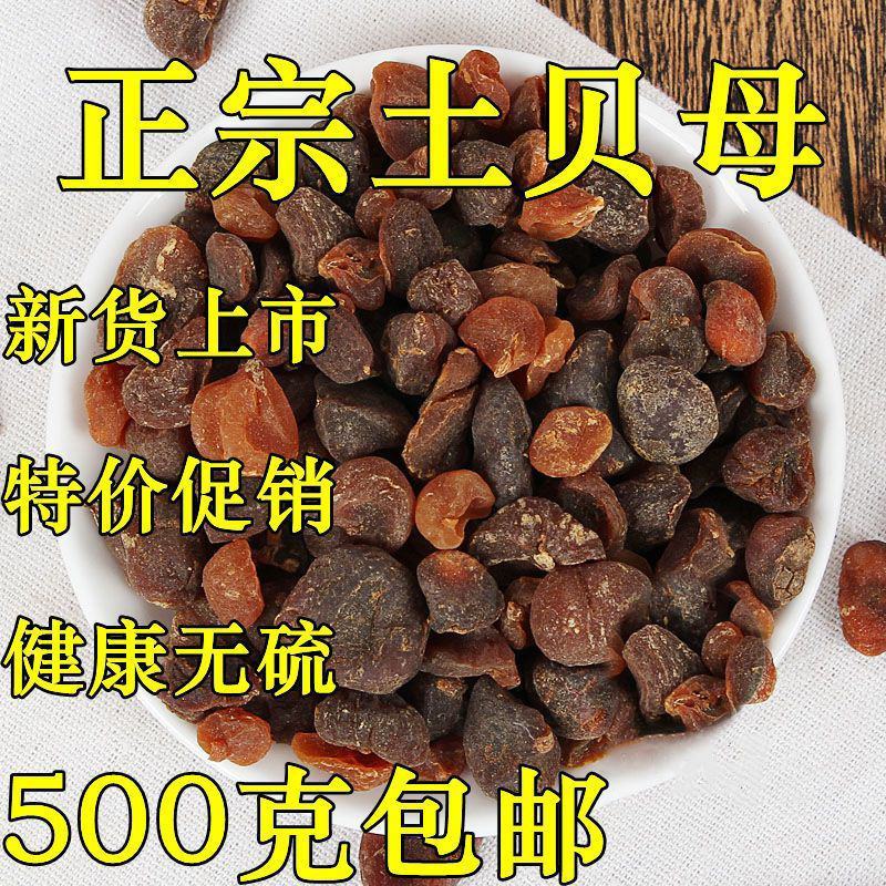 土贝母正品中药材土贝母、土贝、地苦胆、草贝