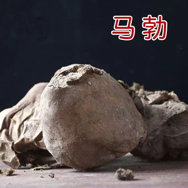 马勃中药材马屁包牛屎菇包马勃菌马勃粉马粪包灰包菌灰菇马蹄