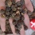 中药材晒干野生余甘子干果可泡茶土橄榄无硫新货油甘子牛甘果