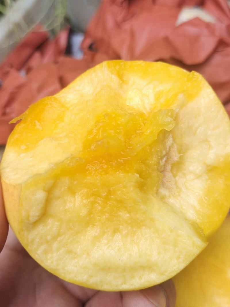 黄金油油桃黄皮黄肉油桃大量上市了货源充足
