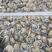 新鲜速冻半壳生蚝冻品牡蛎工厂直供全国发货