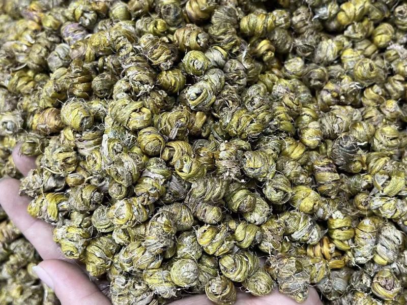 AA铁皮石斛粒
