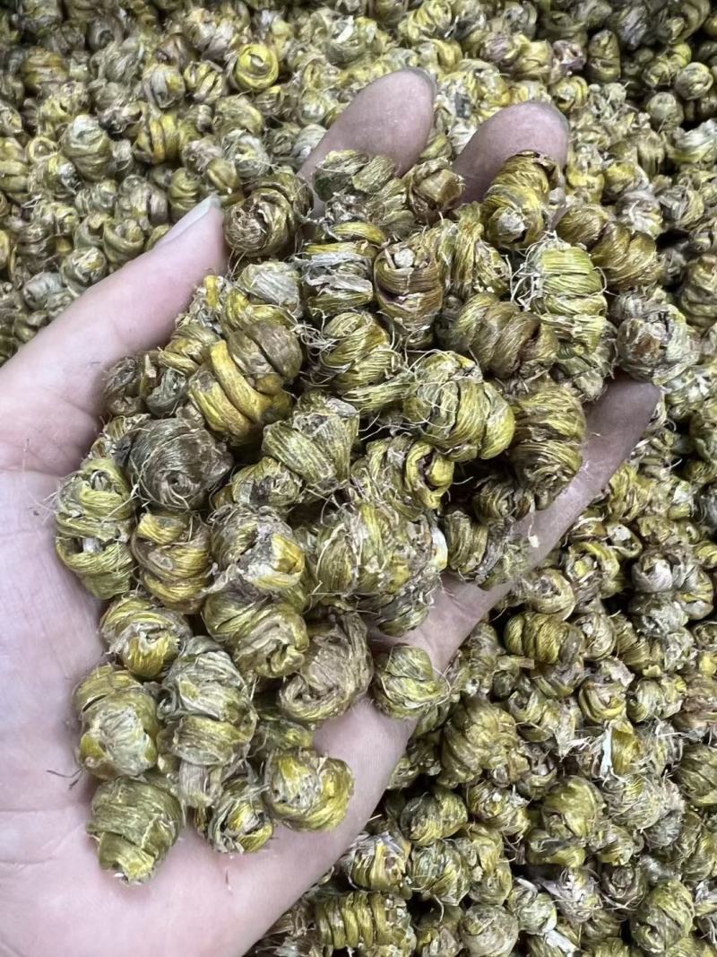 AA铁皮石斛粒