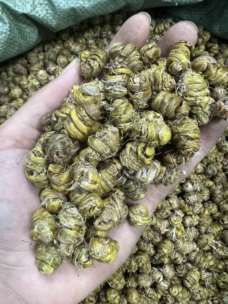 AA铁皮石斛粒