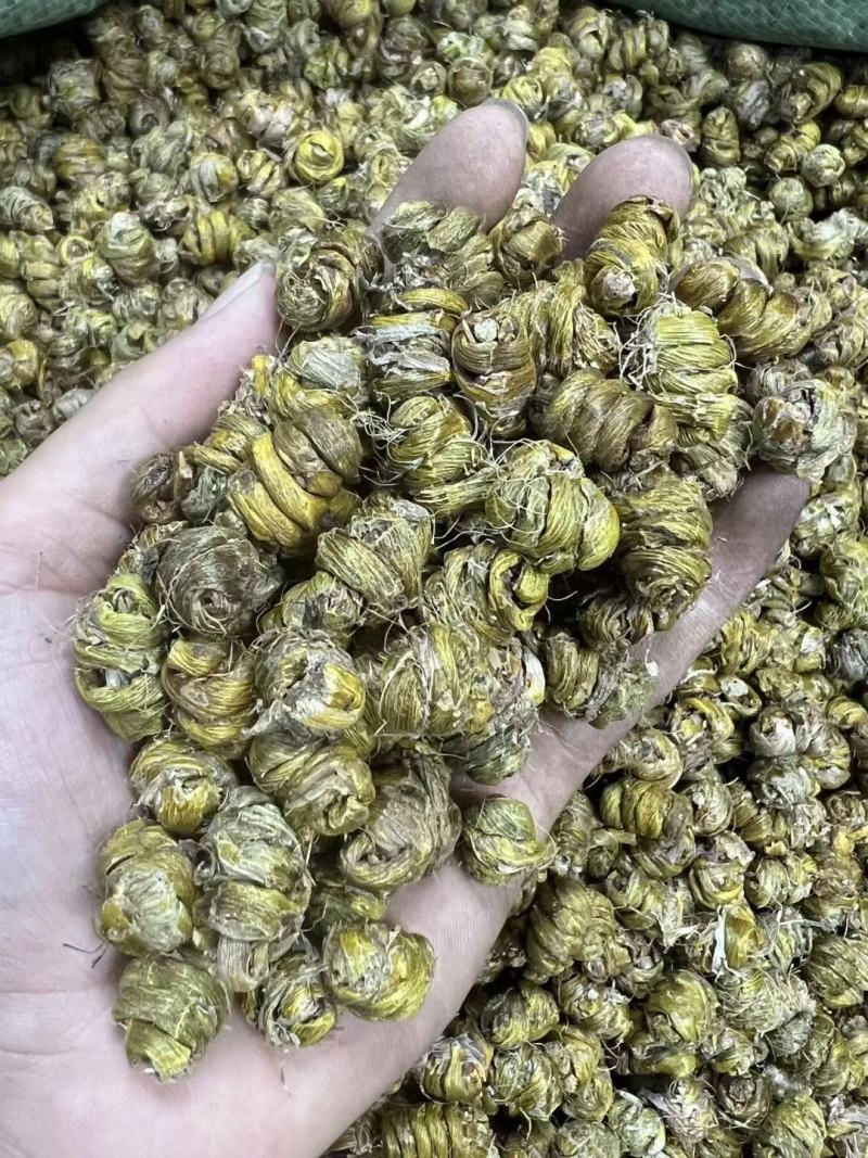 AA铁皮石斛粒