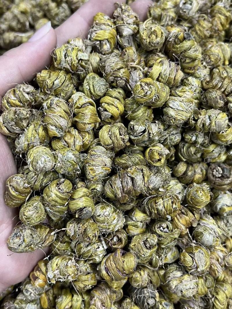 AA铁皮石斛粒