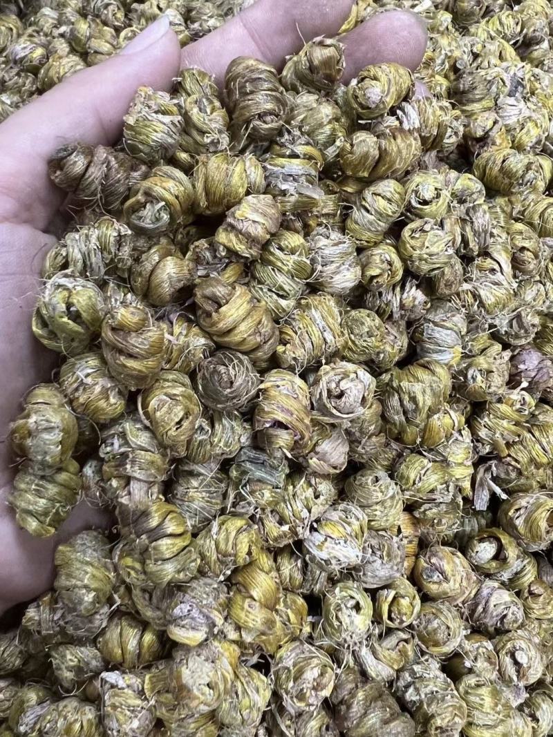 AA铁皮石斛粒