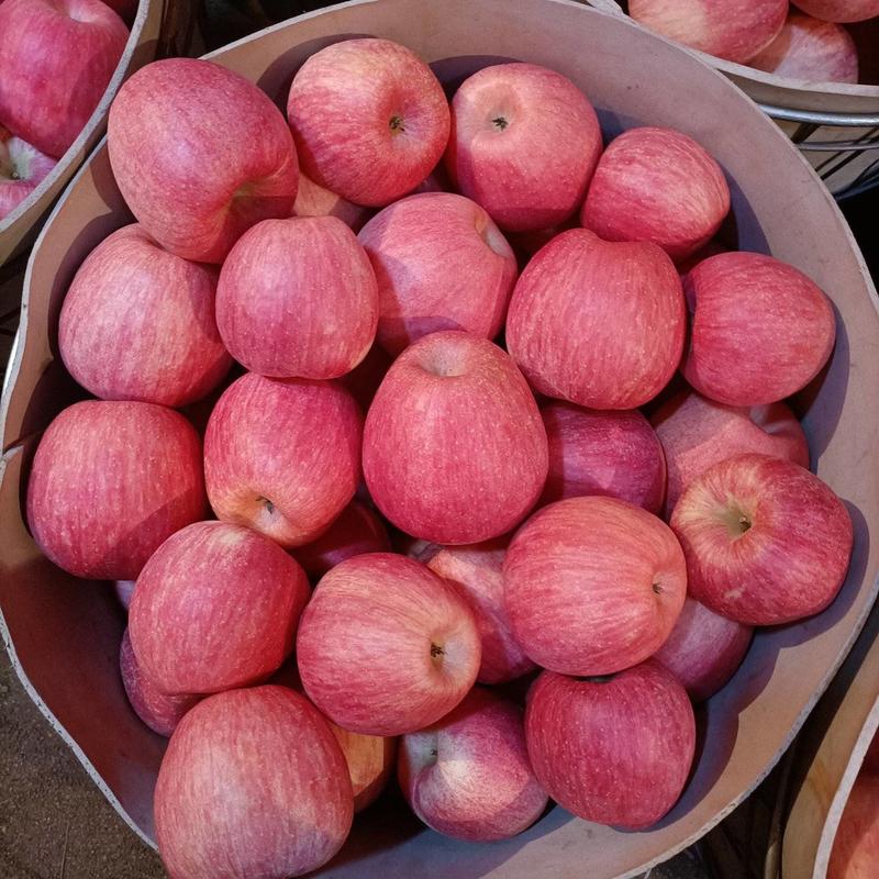 辽宁苹果精品寒富苹果大量上市口感脆甜量大从优