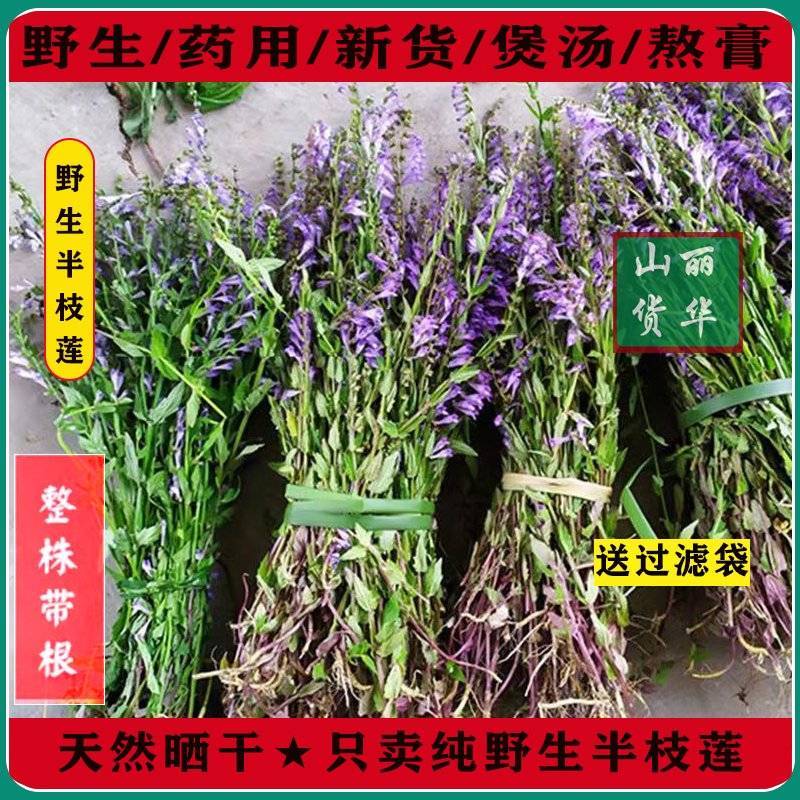 半枝莲野生整株全草晒干带根带花天然并头草韩信草中药材批发