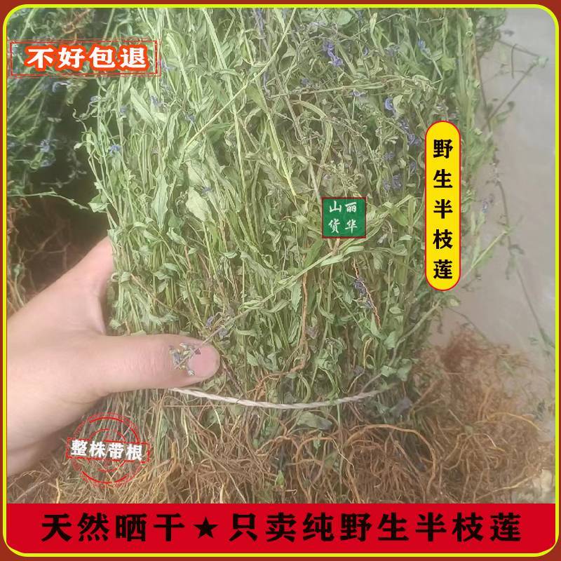 半枝莲野生整株全草晒干带根带花天然并头草韩信草中药材批发