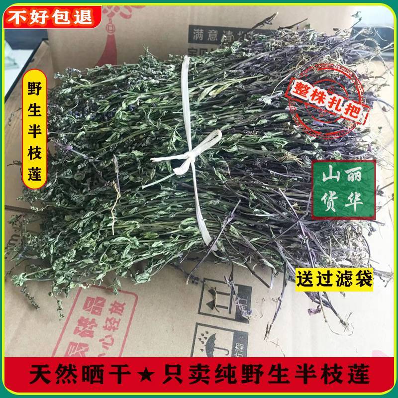 半枝莲野生整株全草晒干带根带花天然并头草韩信草中药材批发