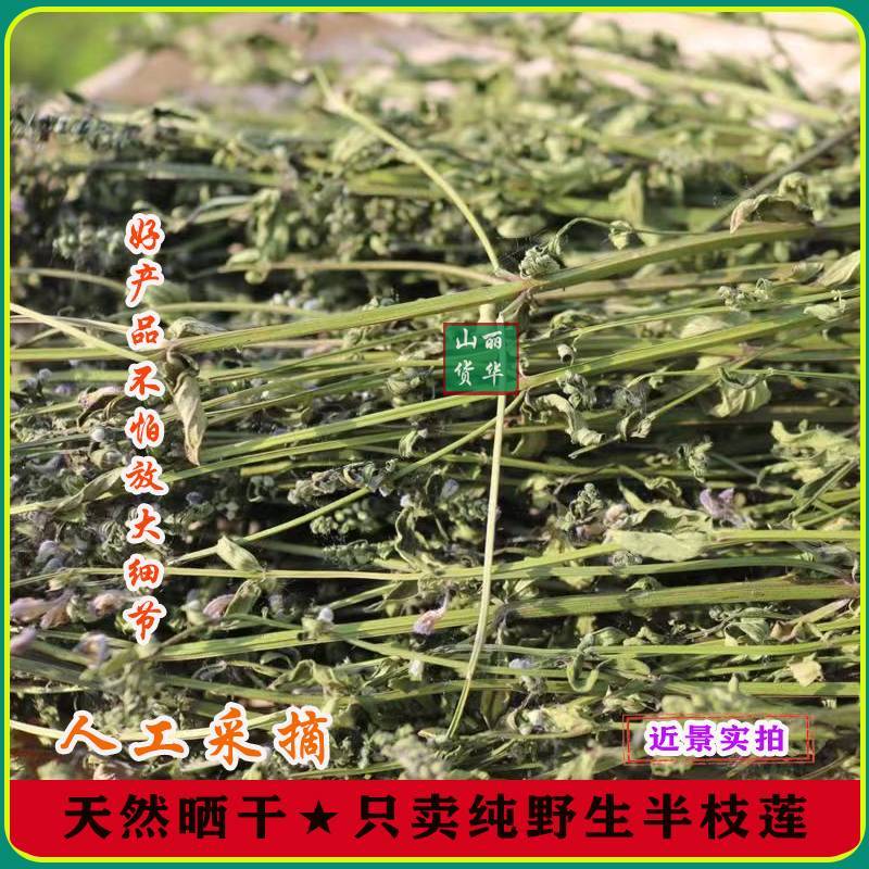半枝莲野生整株全草晒干带根带花天然并头草韩信草中药材批发