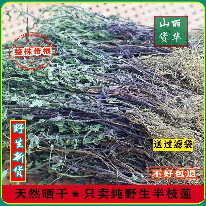 半枝莲野生整株全草晒干带根带花天然并头草韩信草中药材批发