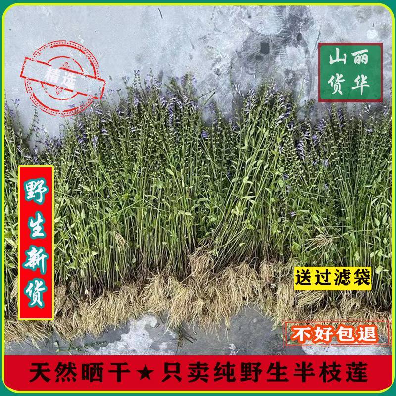 半枝莲野生整株全草晒干带根带花天然并头草韩信草中药材批发