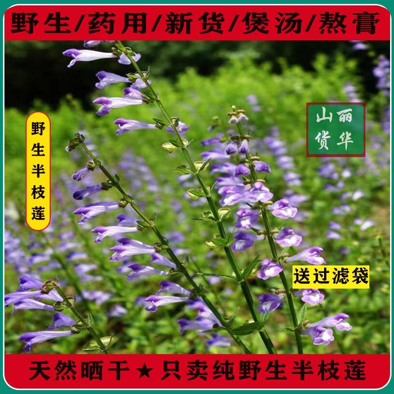 半枝莲野生整株全草晒干带根带花天然并头草韩信草中药材批发