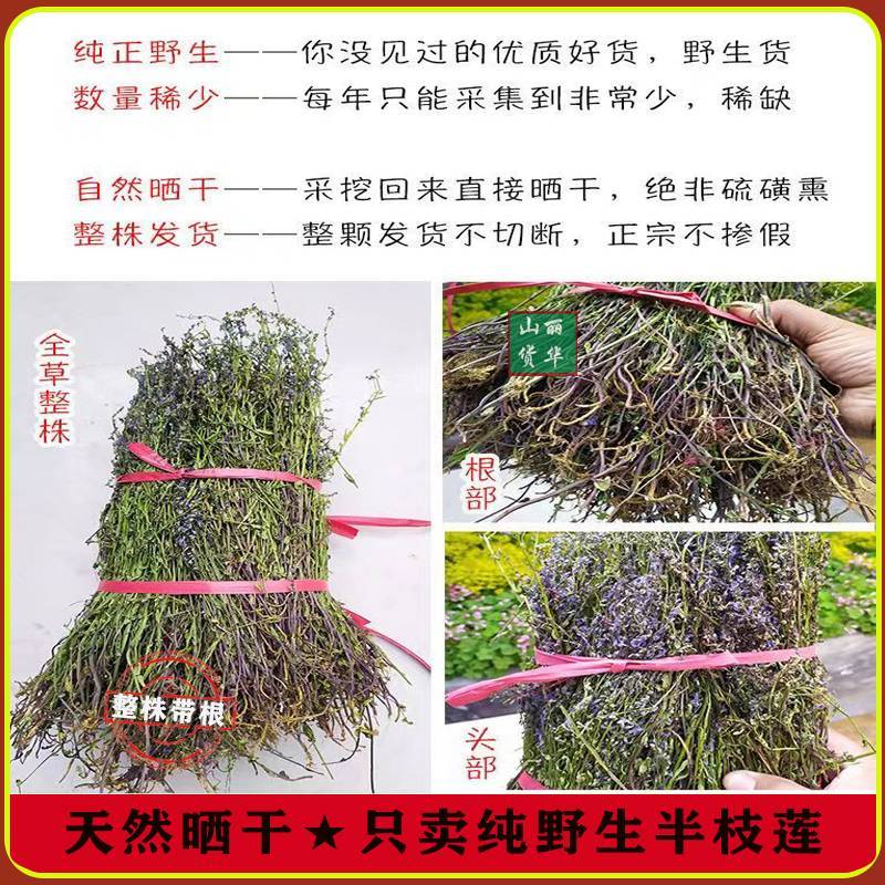 半枝莲野生整株全草晒干带根带花天然并头草韩信草中药材批发