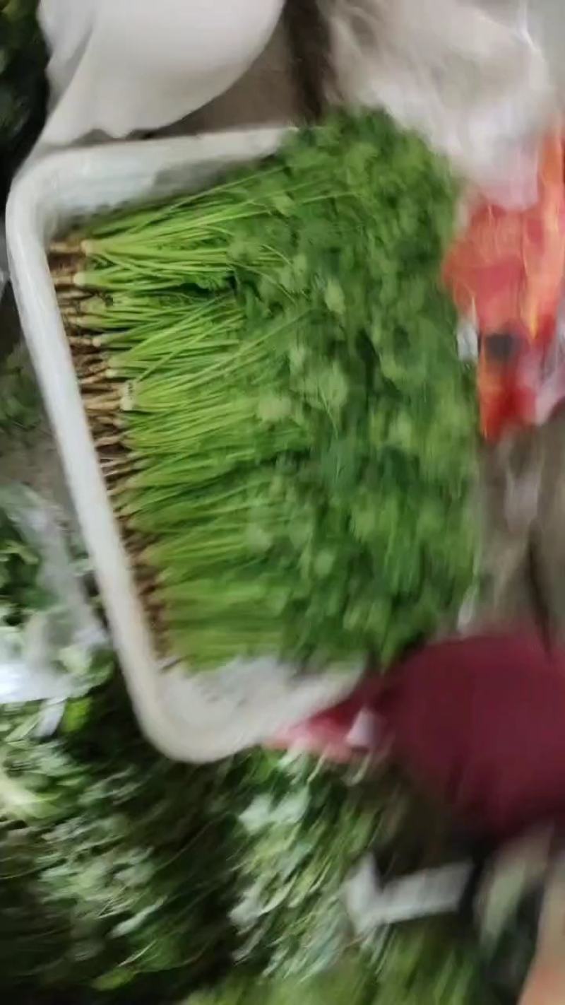 铁杆青香菜