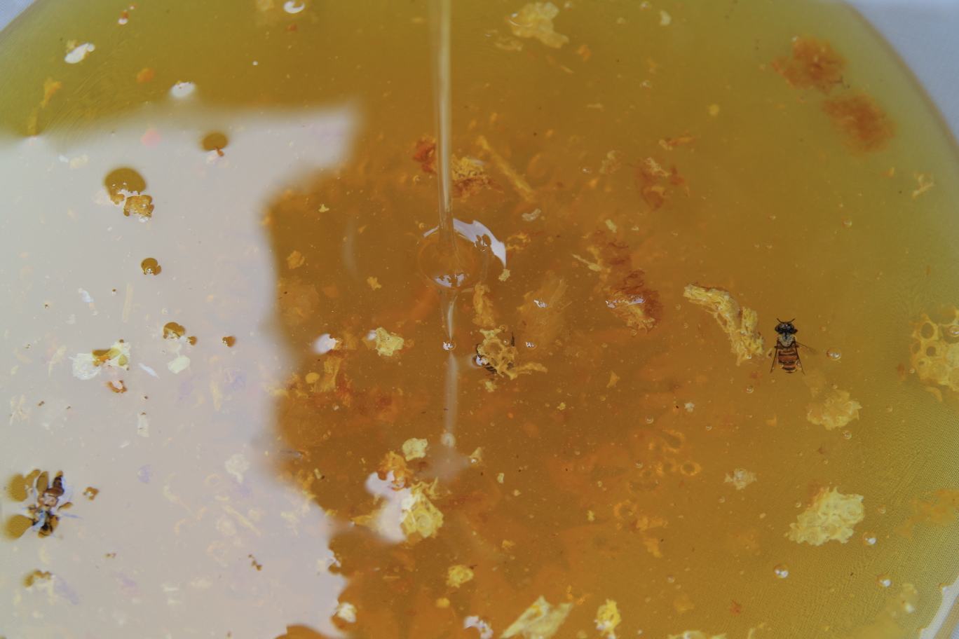 蜂蜜与湿气关系示意图