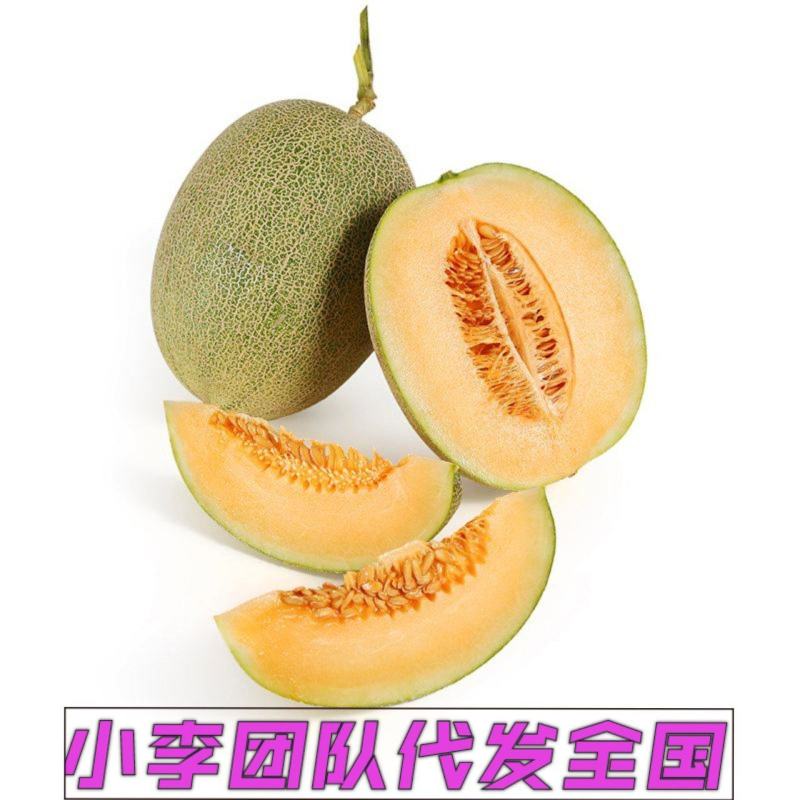 海南蜜瓜(精品小蜜25)皮薄肉厚，甜度高。