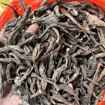 翻白草翻白草根纯根全草都有两种规格