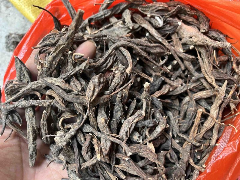 翻白草翻白草根纯根全草都有两种规格