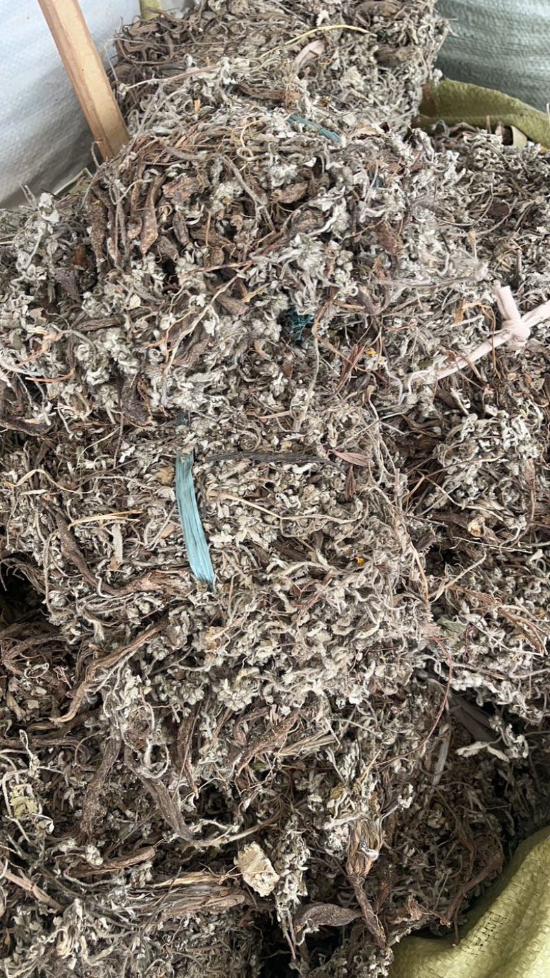 翻白草翻白草根纯根全草都有两种规格