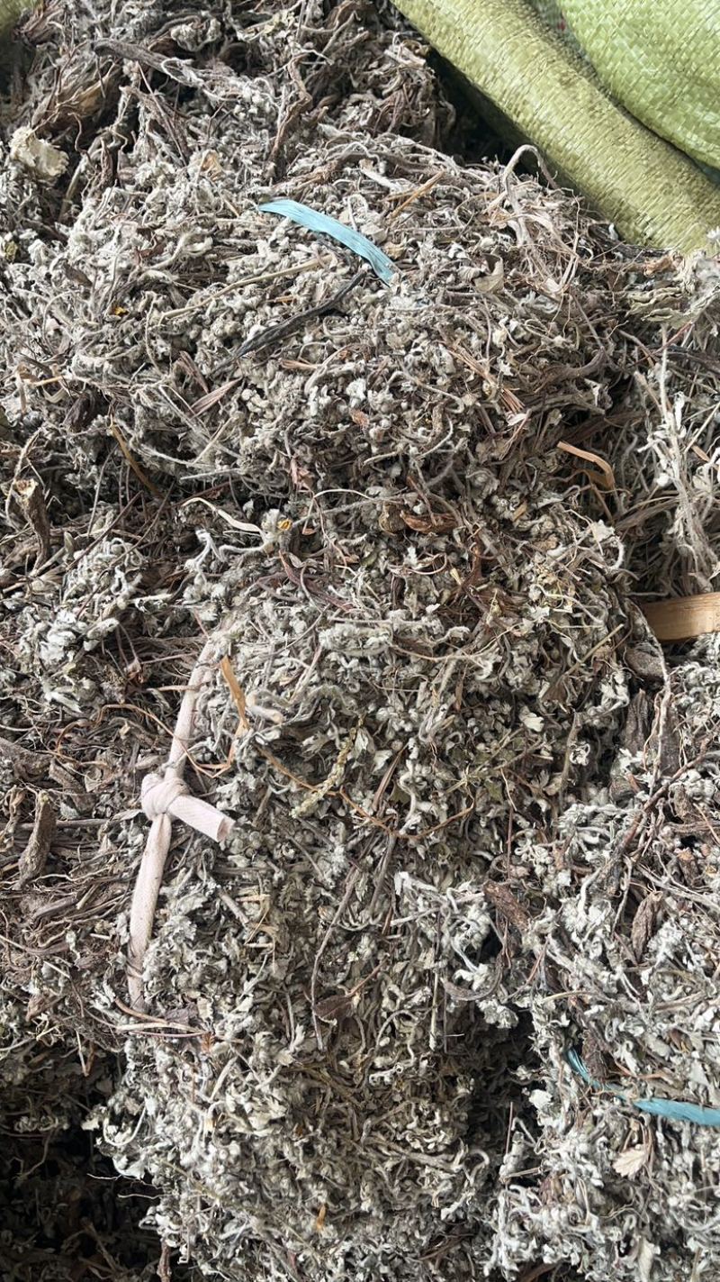 翻白草翻白草根纯根全草都有两种规格