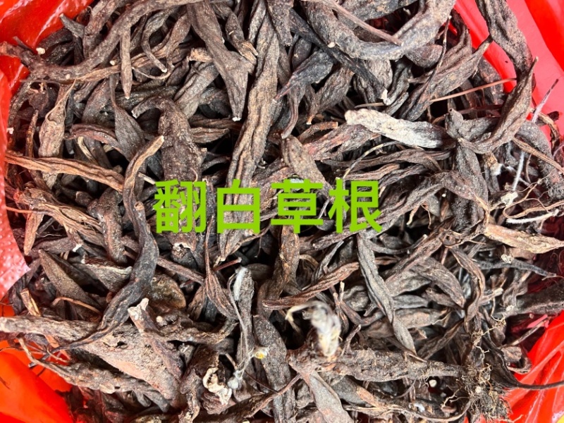 翻白草翻白草根纯根全草都有两种规格