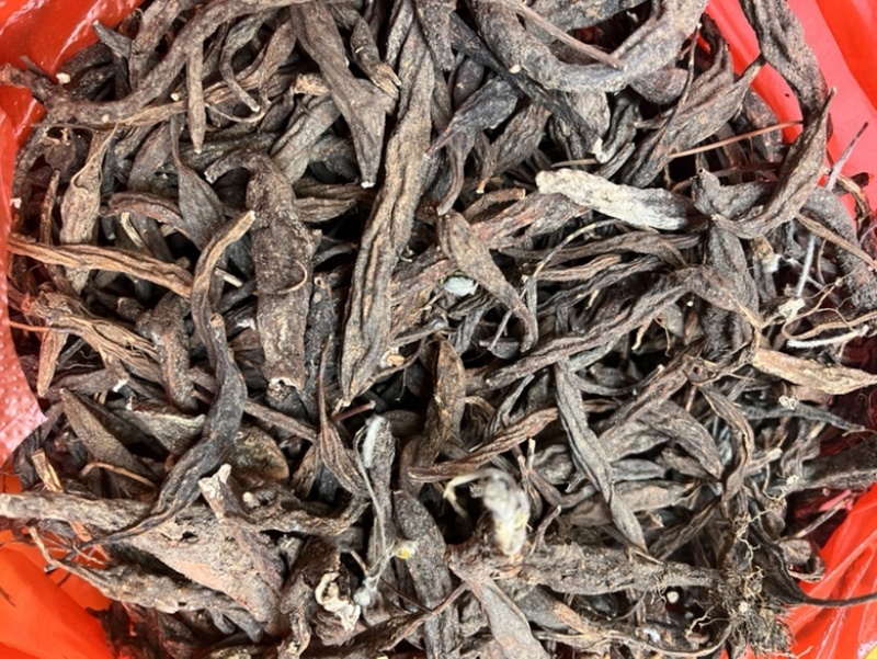 翻白草翻白草根纯根全草都有两种规格