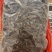 翻白草翻白草根纯根全草都有两种规格