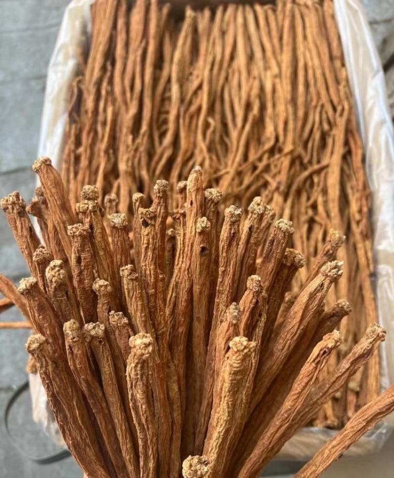 小号红泥党参