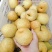 翠冠梨精品果6两以上纯甜脆多汁