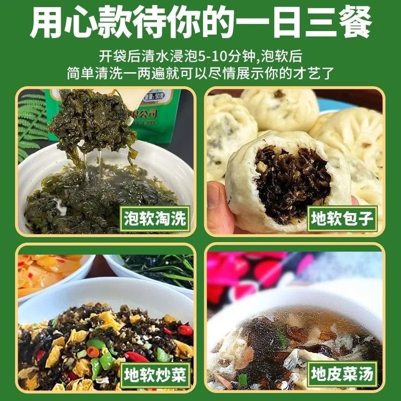 地软地皮菜