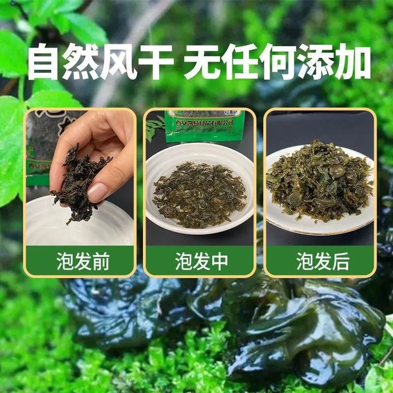 地软地皮菜