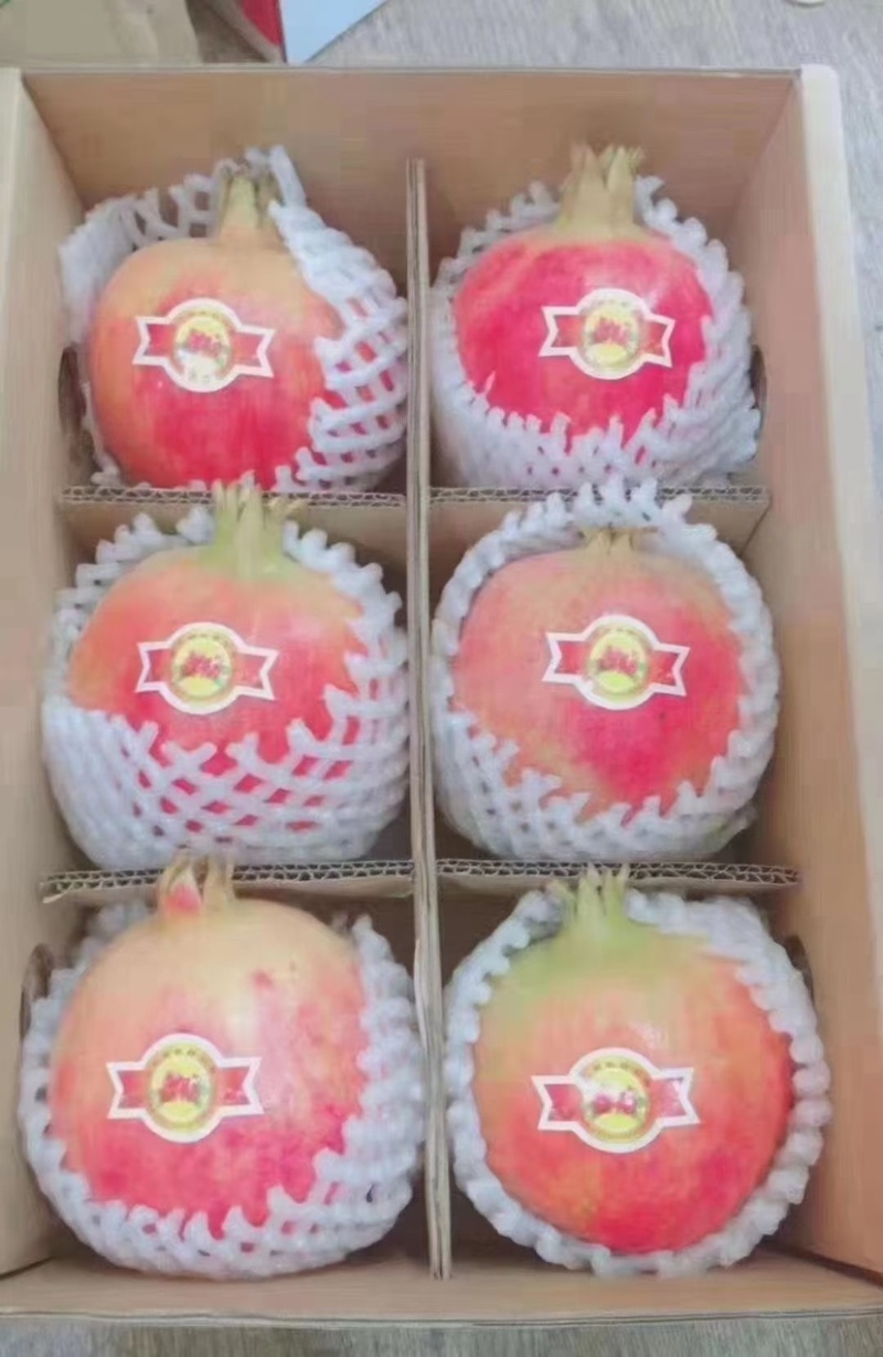 会理软籽石榴