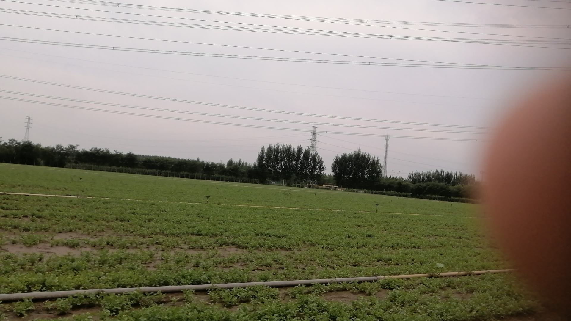 女性厨房准备绿色蔬菜