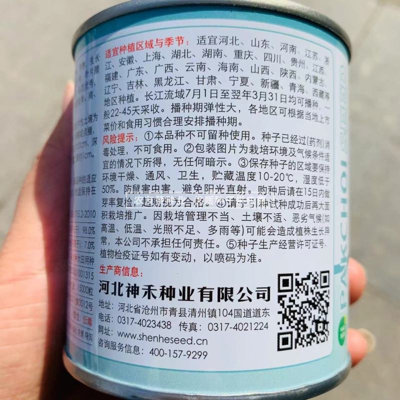 夏优四季速生青梗菜种子鸡毛菜种子耐湿抗热小青菜种子