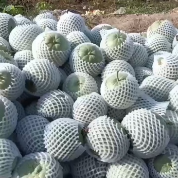 甜瓜