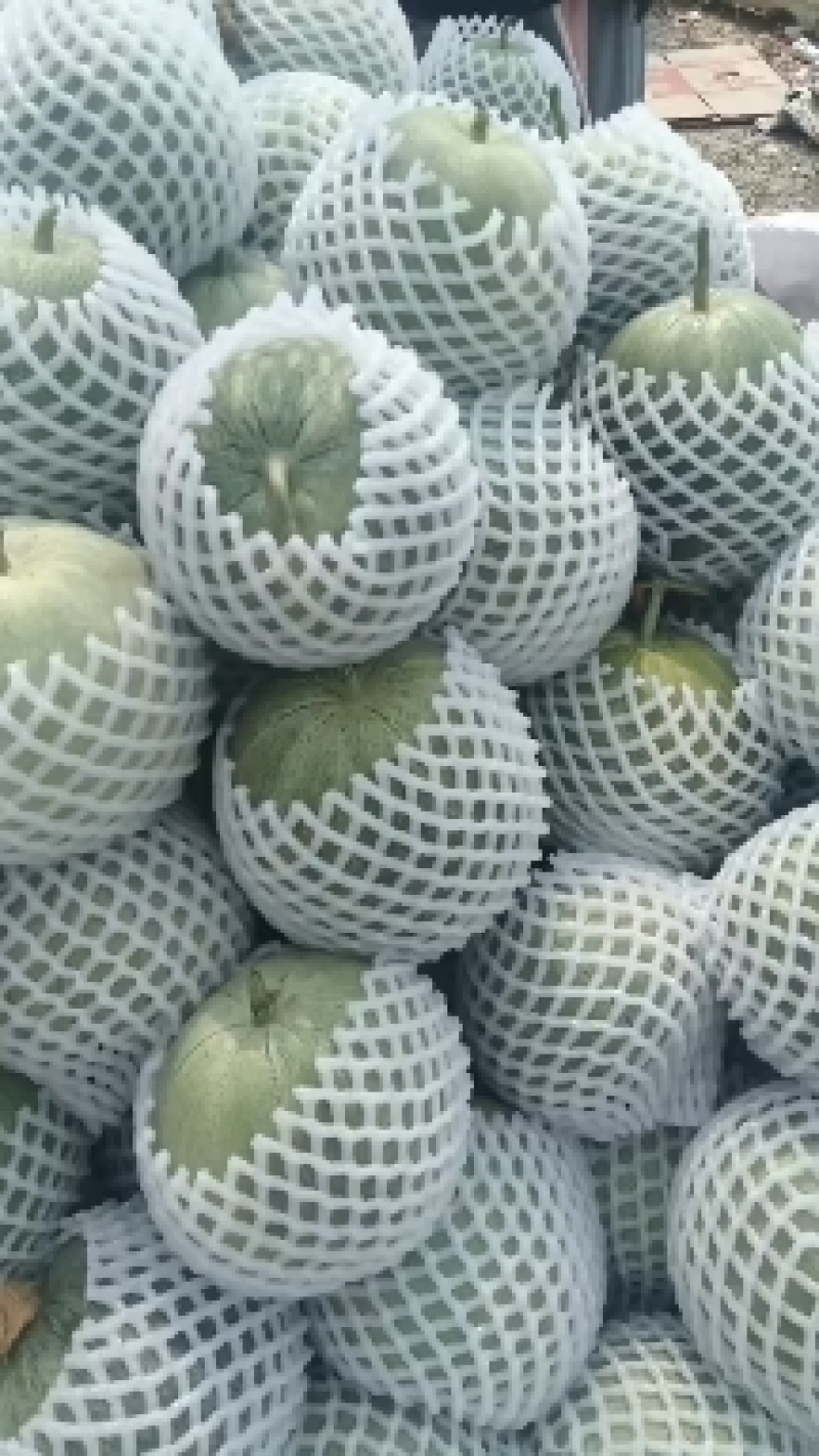 甜瓜