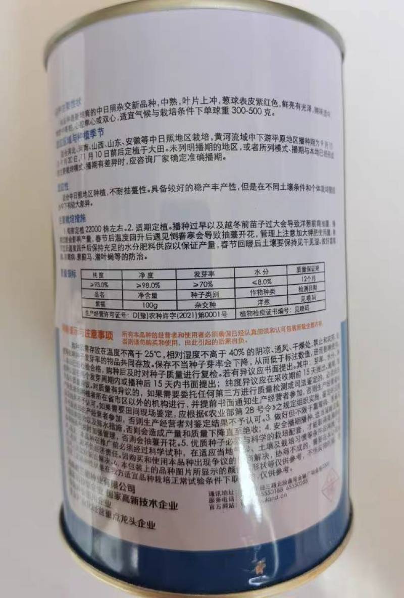 杂交紫皮洋葱种子欧兰德紫福高产中早熟耐抽苔高端紫洋葱种子