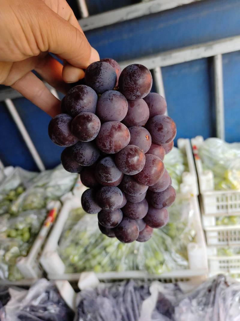 夏黑葡萄