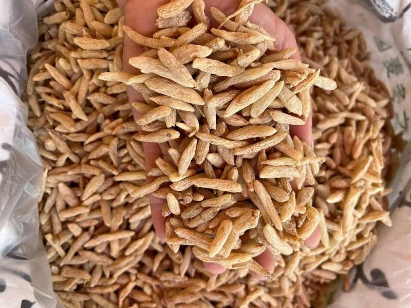 B厂特大号麦冬