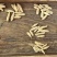 B厂特大号麦冬