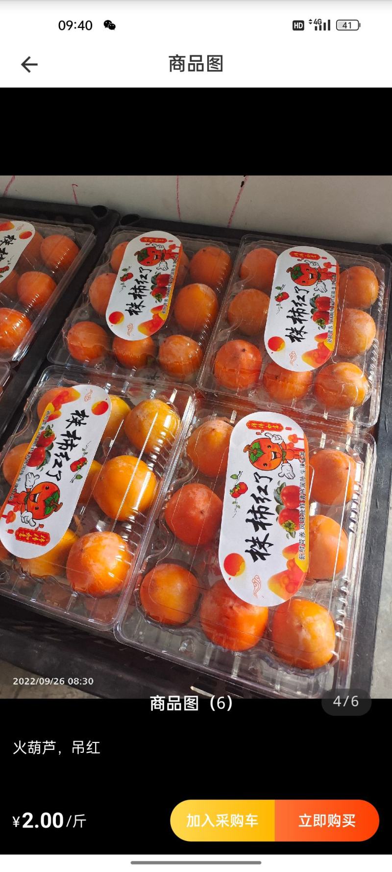 玲珑珠柿火葫芦柿子产地直发欢迎合作