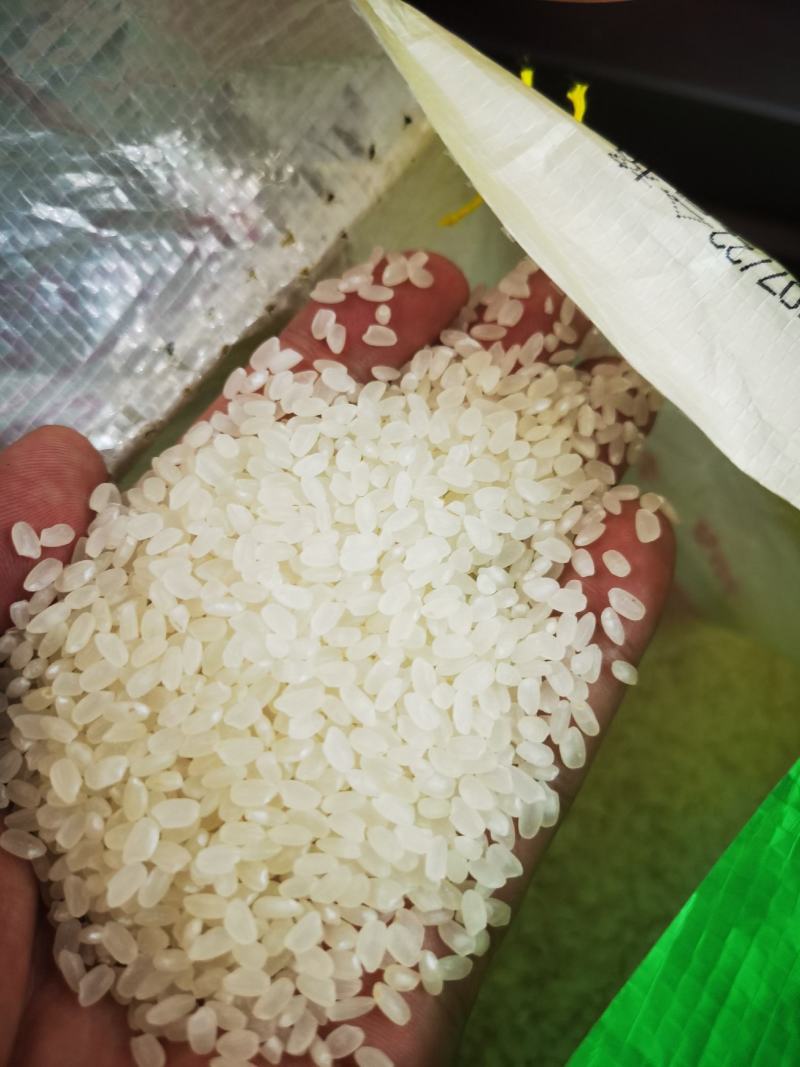 江苏大米新粮