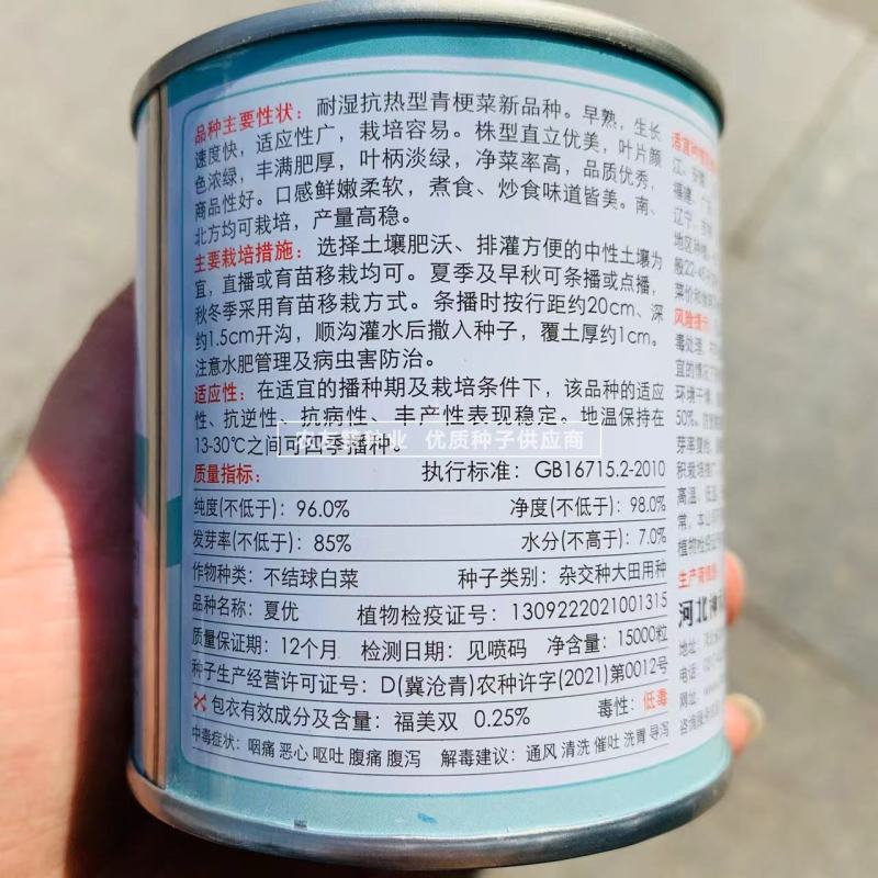 四季速生青梗菜种子夏优耐高温鸡毛菜种子抗热小青菜种子耐热