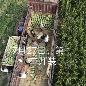 万亩西瓜产地直发。价格便宜