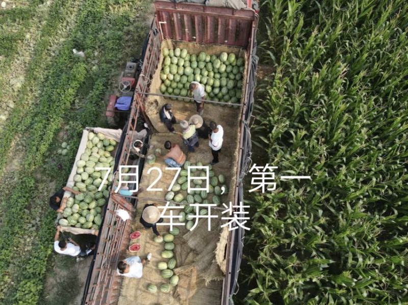 万亩西瓜产地直发。价格便宜